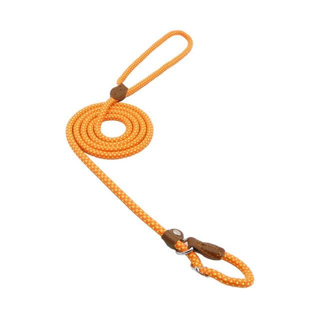 Nylon Puppy Set