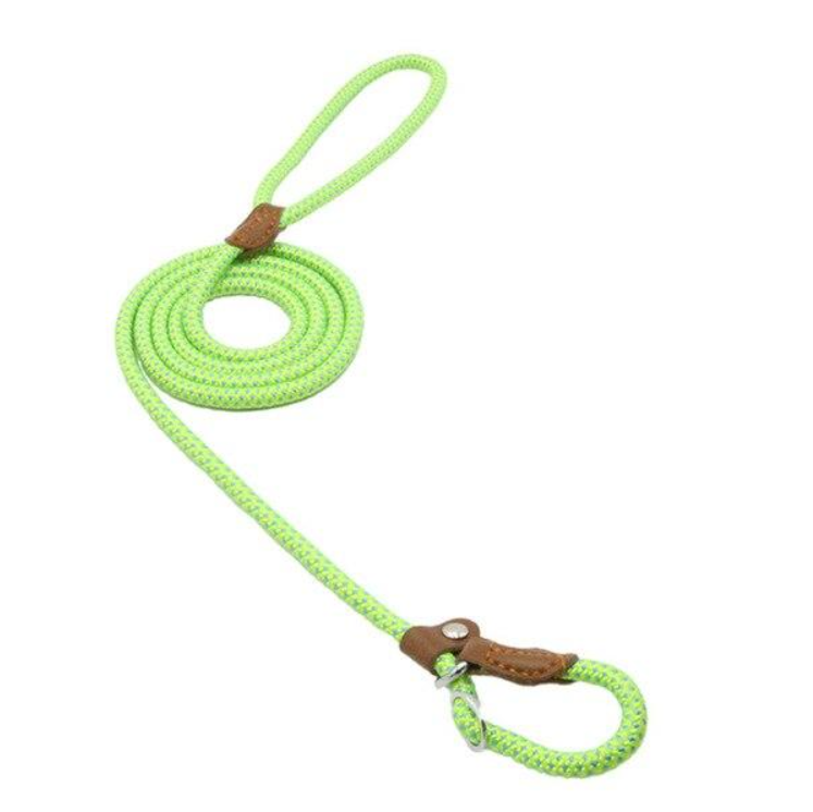 Nylon Puppy Set