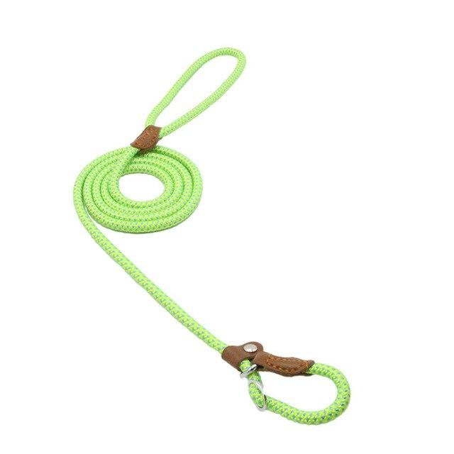 Nylon Puppy Set