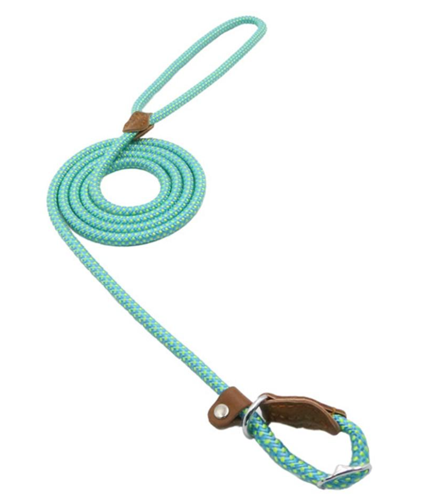 Nylon Puppy Set