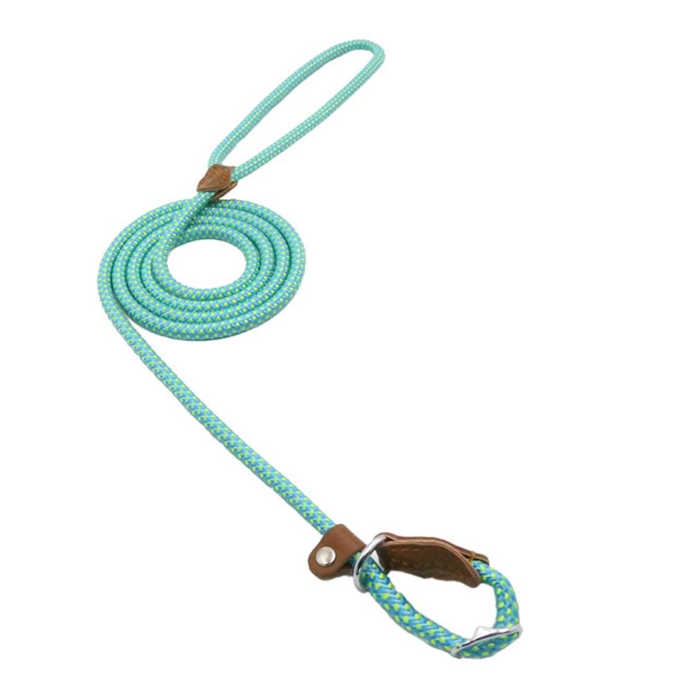 Nylon Puppy Set