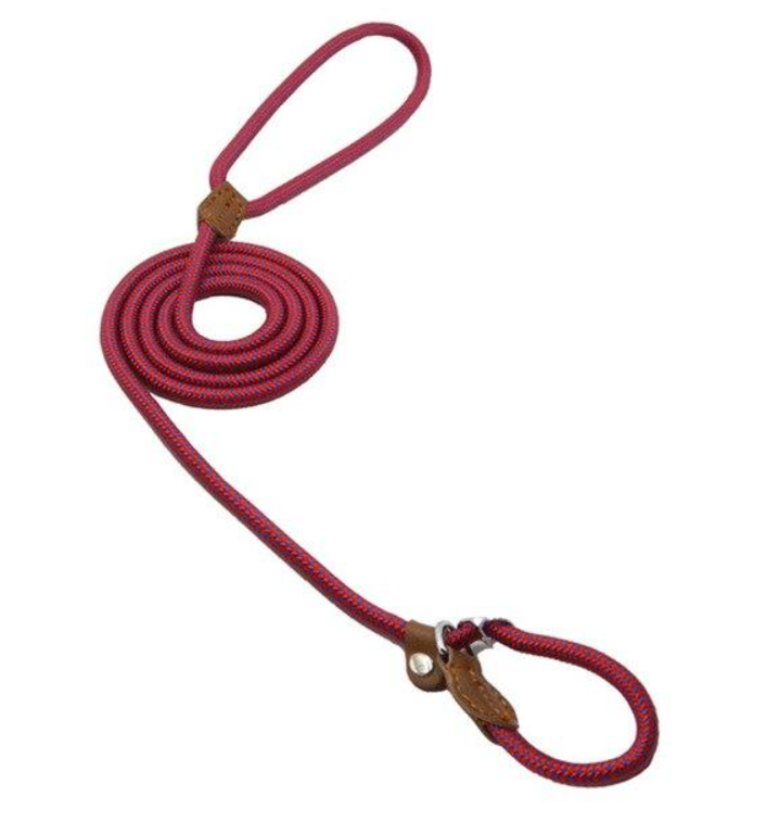 Nylon Puppy Set