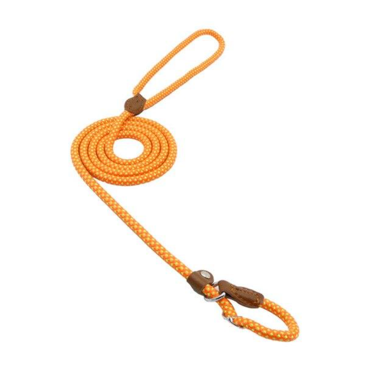 Nylon Puppy Set