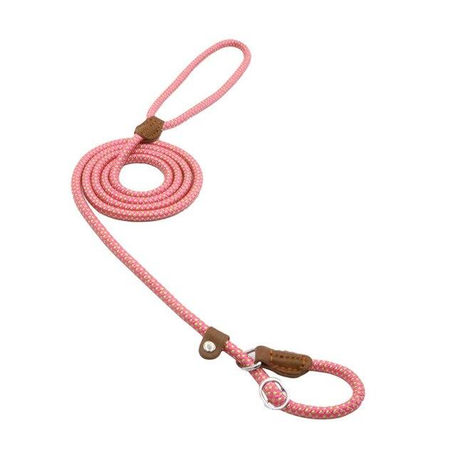Nylon Puppy Set